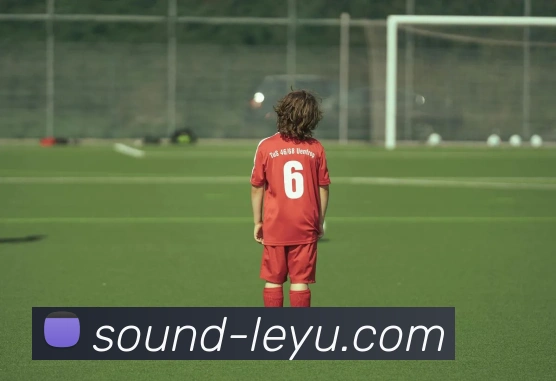 乐鱼体育APP 体育赛事宣传图